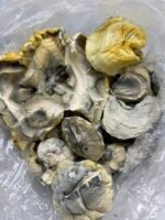 Midnight Trinity Mushroom Strain