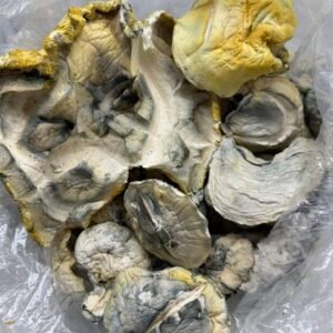 Midnight Trinity Mushroom Strain
