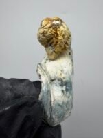 Blue Storm Mushroom Strain
