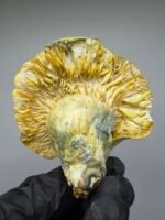 Midnight Trinity Mushroom Strain