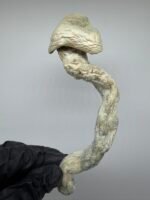 Albino Jedi Mind Fuck mushroom