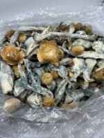 Bluey Vuitton Mushroom Strain