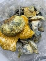 Midnight Trinity Mushroom Strain