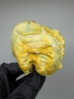 Midnight Trinity Mushroom Strain