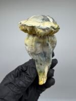 Midnight Trinity Mushroom Strain