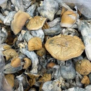 Dc Melmac mushroom