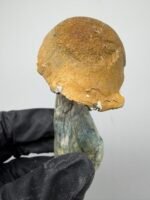 Dc Melmac mushroom
